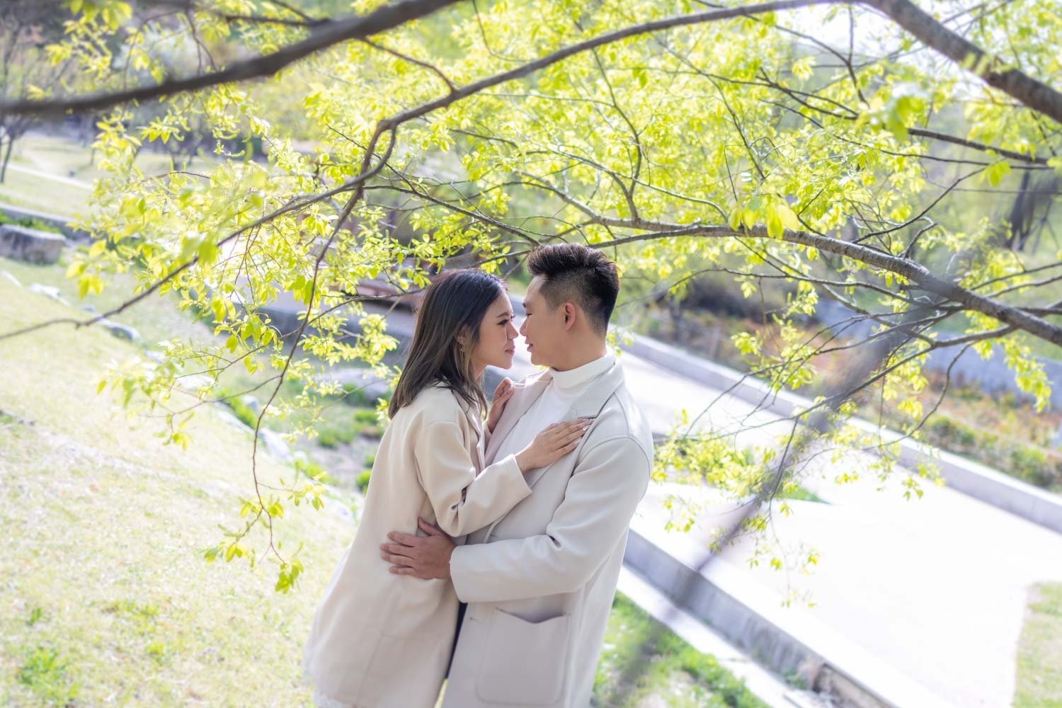 Jeongyi-photography-Dream-Forest-Proposal-132a