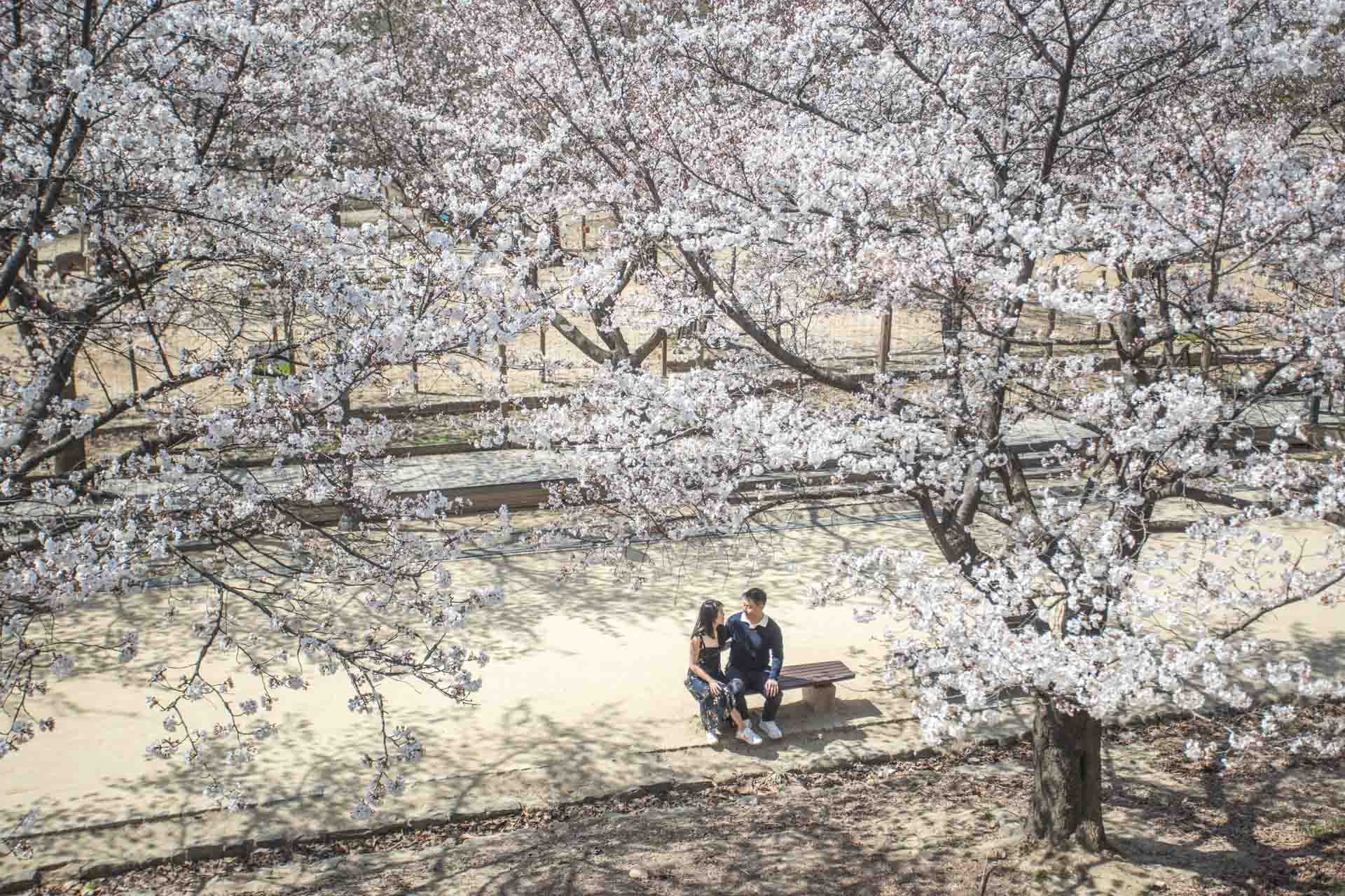 Jeongyi-photography-albert-seoul-proposal-136