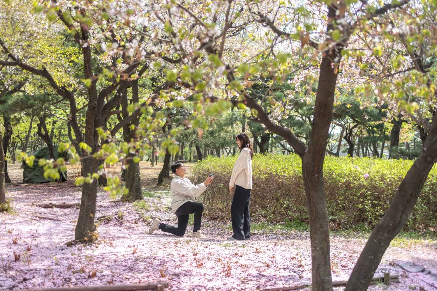 Jeongyi-photography-seoul-forest-proposal-102