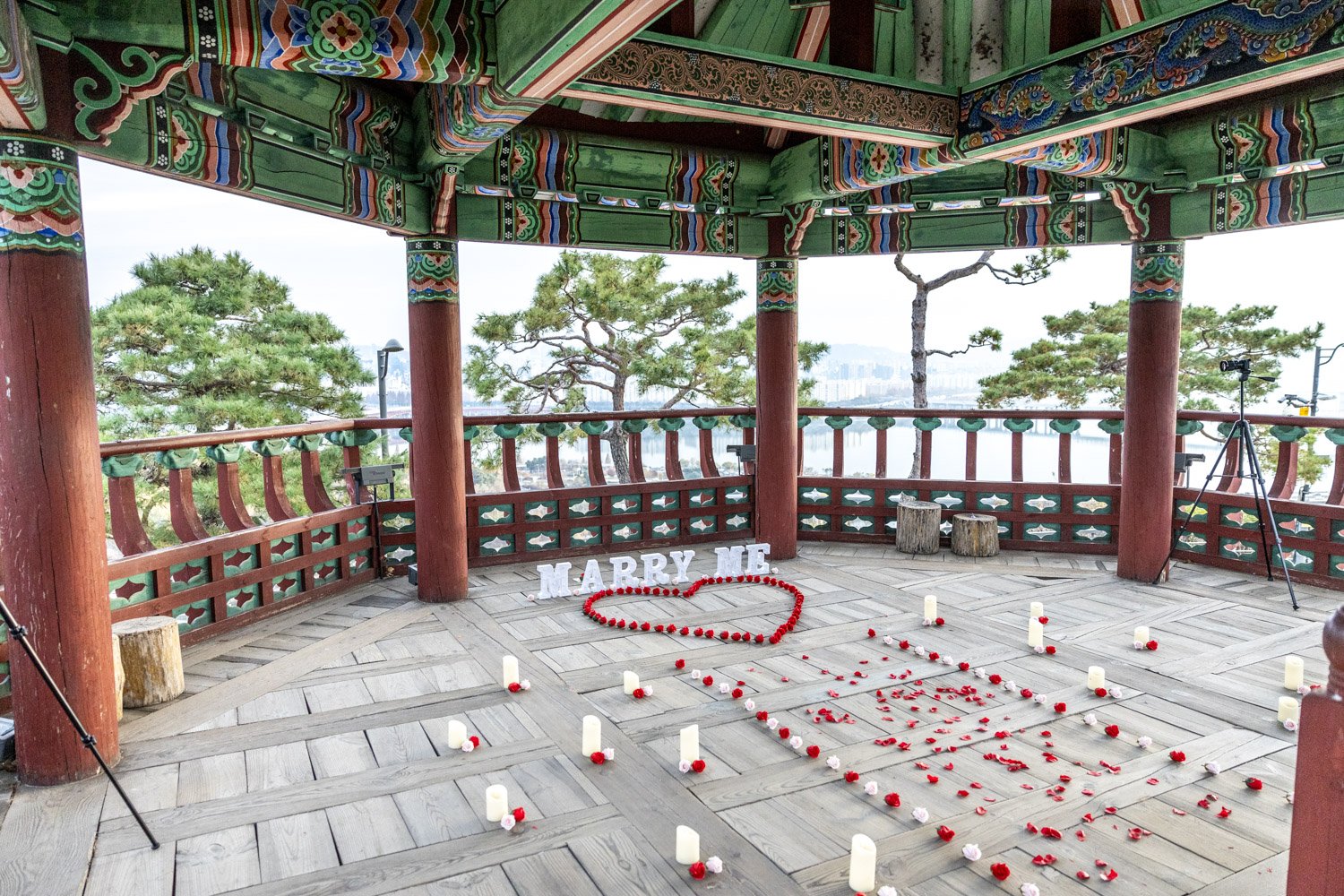 Pagoda-seoul-proposal-100