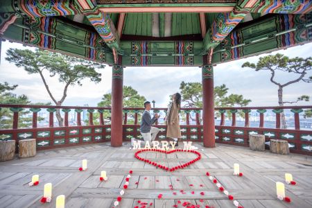 Pagoda-seoul-proposal-105