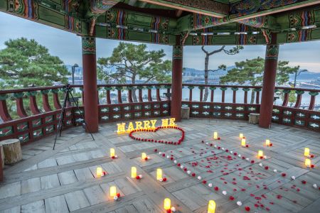 Pagoda-seoul-proposal-131