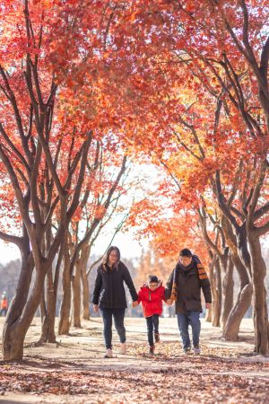 Seoul-forest-family-portraits-113