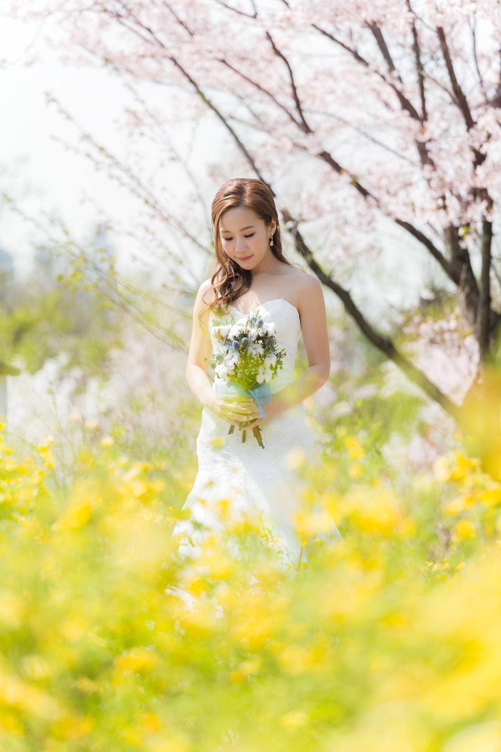 Spring Photography Korea | Jeong Yi